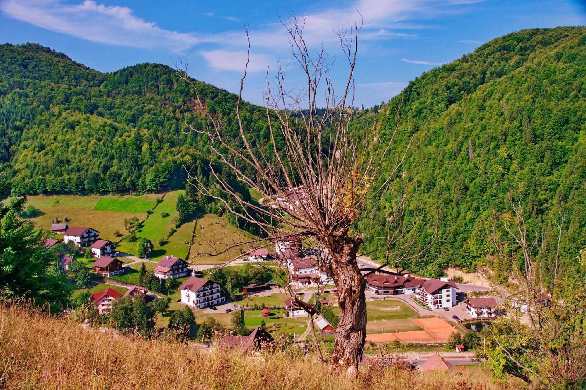 Resort Cheile Gradistei Moieciu Moeciu De Sus Luaran gambar